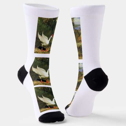 Chaussette Chaussettes de logo IGF (Angulaire)