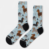 Chaussette Chaussettes de Motif pour Dachshund à long poil et (Gauche)