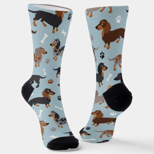 Chaussette Chaussettes de Motif pour Dachshund à long poil et (Angulaire)
