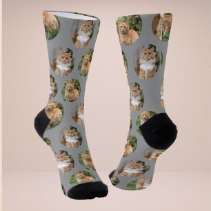 Chaussette Chaussettes de photo de chat de mignon animal de c