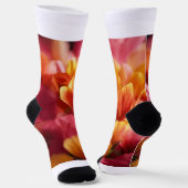 Chaussette Chaussettes de sport (Angulaire)