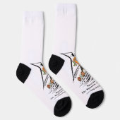 Chaussette Chaussettes de succès (Droite)