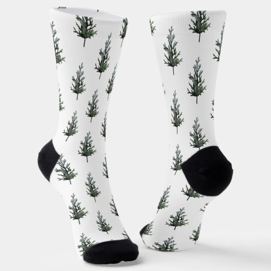 Chaussette Chaussettes d'épinette (Angulaire)
