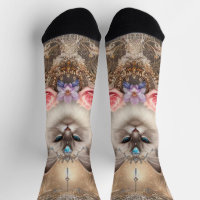 Chaussettes d'équipage de chats Ragdoll
