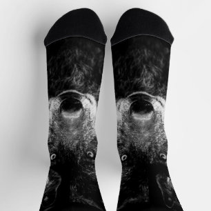 Chaussette Chaussettes d'équipage de loup noir