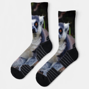 Chaussette Chaussettes d'équipage Lemur