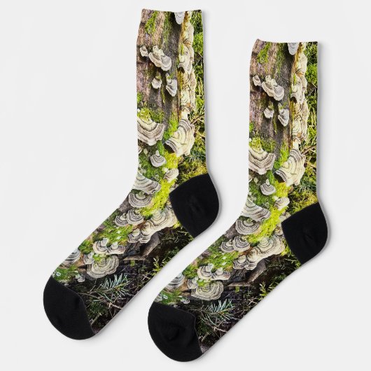 Chaussette Chaussettes. Dessin champignons Queue de dinde (Gauche)