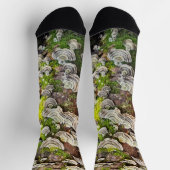 Chaussette Chaussettes. Dessin champignons Queue de dinde (Haut)