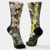 Chaussette Chaussettes. Dessin champignons Queue de dinde (Angulaire)