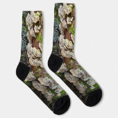 Chaussette Chaussettes. Dessin champignons Queue de dinde (Droite)