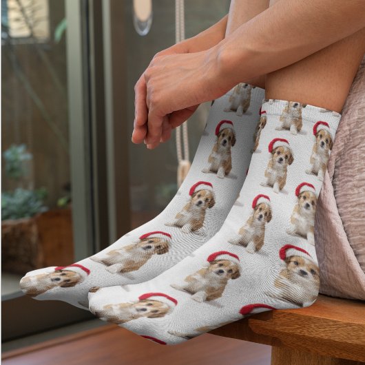 Chaussette Chaussettes drôles avec photo de compagnie personn