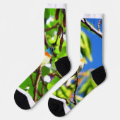Chaussette Chaussettes Lazuli Bunting (Gauche)