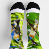 Chaussette Chaussettes Lazuli Bunting (Haut)