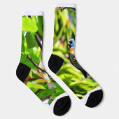 Chaussette Chaussettes Lazuli Bunting (Droite)