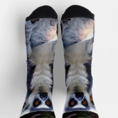 Chaussette Chaussettes Lemur Crew (Haut)