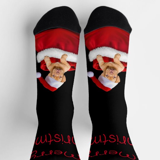 Chaussette Chaussettes père Noël Puppy Crew (Haut)