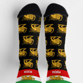 Chaussette Chaussettes Perse, drapeau persan avec Lion /Shah (Haut)