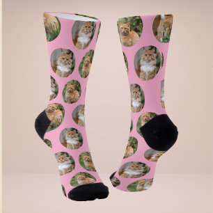 Chaussette Chaussettes Photo Cute Pet 2 Chat