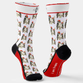 Chaussette Chaussettes Pic à ventre rouge (Angulaire)