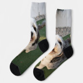 Chaussette Chaussettes pour chiots (Gauche)