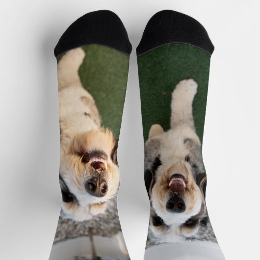 Chaussette Chaussettes pour chiots (Haut)