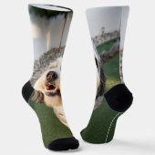 Chaussette Chaussettes pour chiots (Angulaire)