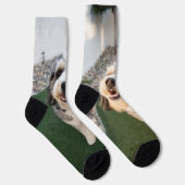 Chaussette Chaussettes pour chiots (Droite)