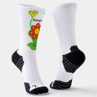 Chaussette Chaussettes pour femmes