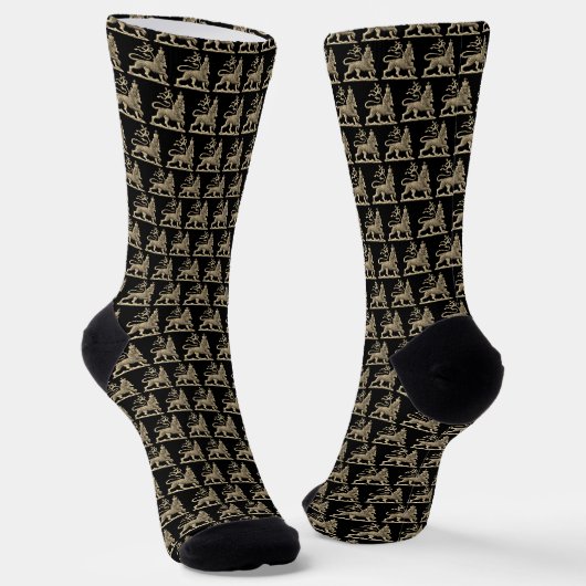 Chaussette Chaussettes Reggae Reggae Rasta Roots (Angulaire)