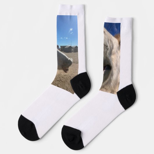 Chaussette Chaussettes Sourires de Cheval (Gauche)