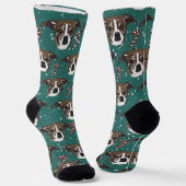 Chaussette Chien de carleigh (Angulaire)