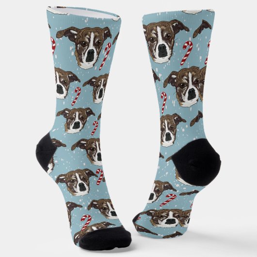 Chaussette Chien de Carleigh (Angulaire)