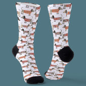 Chaussette Chien de saucisse Dachshund