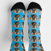 Chaussette chien et musique, (Haut)