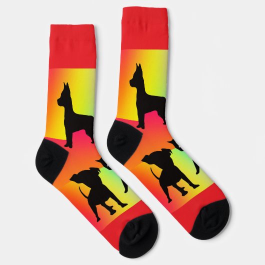 Chaussette Chiens Et Chats Arc-En-Ciel (Droite)