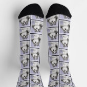 Chaussette Chih Tzu Peinture Noir & Blanc Original Chien Art (Haut)