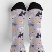 Chaussette Chihuahua os et balais chaussettes (Haut)