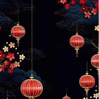 Chaussette Chinese New Year 