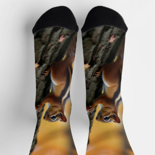 Chaussette Chipmunk dans un arbre