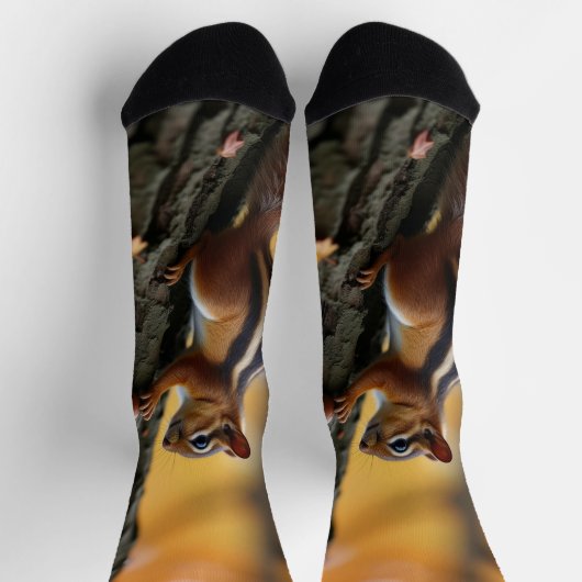 Chaussette Chipmunk dans un arbre (Haut)