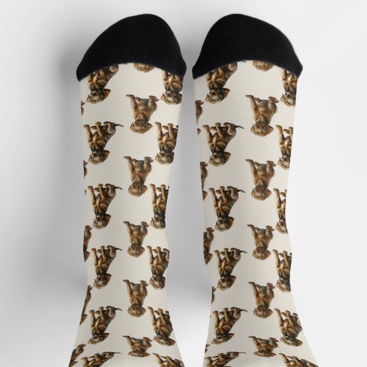 Chaussette Chocolat Labrador Retriever Chien Chien Chien Moti (Haut)