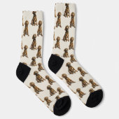 Chaussette Chocolat Labrador Retriever Chien Chien Chien Moti (Droite)