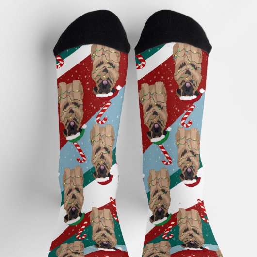 Chaussette Christmas Leonberger (Haut)