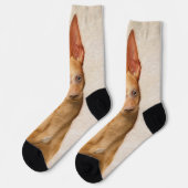 Chaussette Cirneco dell’Etna Peinture - Cute Original Chien A (Gauche)