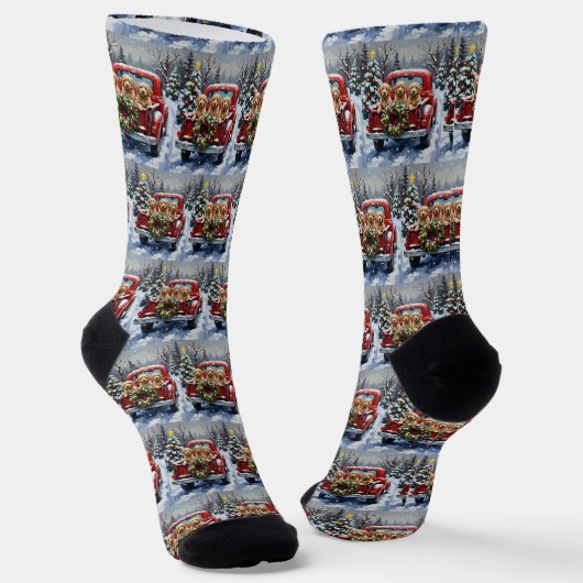 Chaussette Cockapoo Noël Camion Rouge Fêtes (Angulaire)