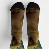 Chaussette Cockatoo Aussie Blanche, Chaussettes d'équipage (Haut)