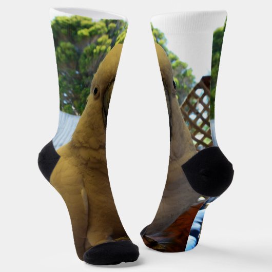 Chaussette Cockatoo Aussie Blanche, Chaussettes d'équipage (Angulaire)