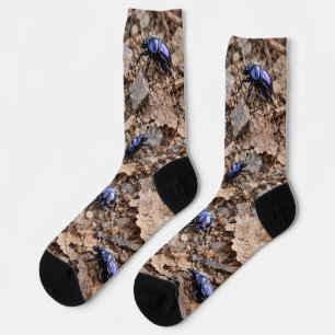 Chaussette Coléoptère Faune Forestière