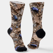 Chaussette Coléoptère Faune Forestière (Angulaire)