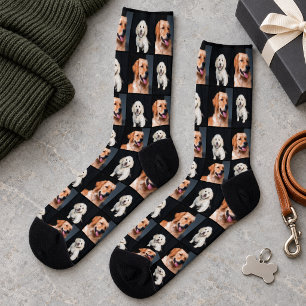 Chaussette Collage de photos d'animaux de compagnie modernes